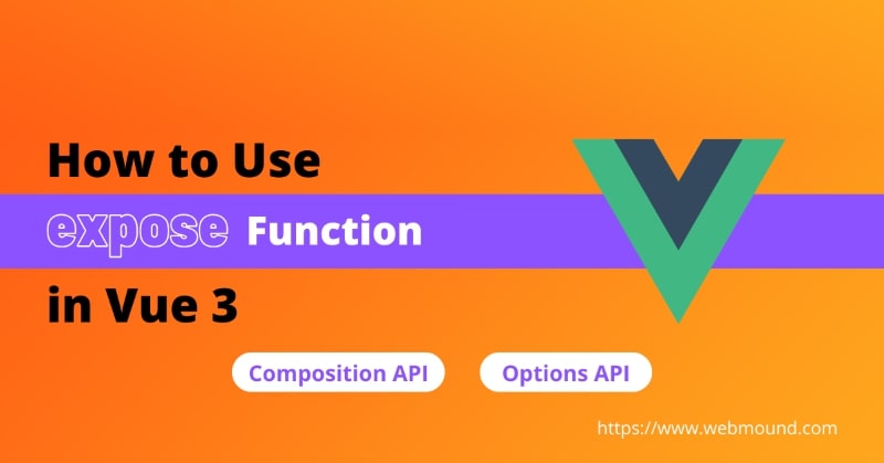How to Use Vue 3 Expose in Composition and Options API